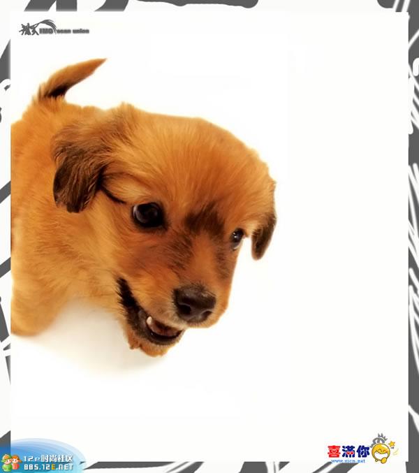 分享在 meiguo.com 上的图片