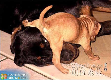 分享在 meiguo.com 上的图片