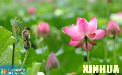 网友分享在meiguo.com的图片