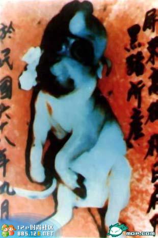 分享在 meiguo.com 上的图片
