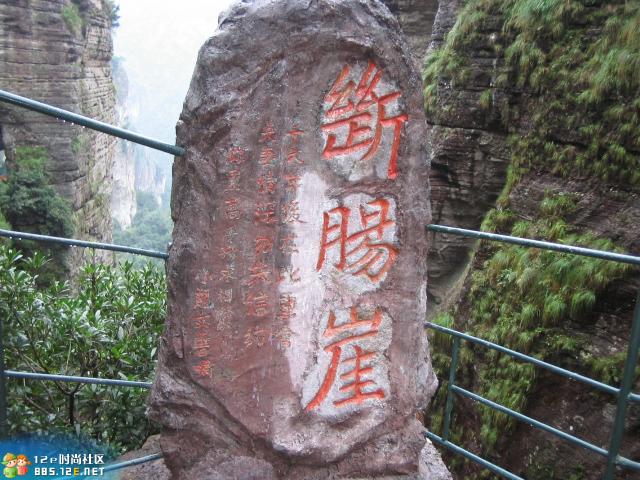 网友分享在meiguo.com的图片