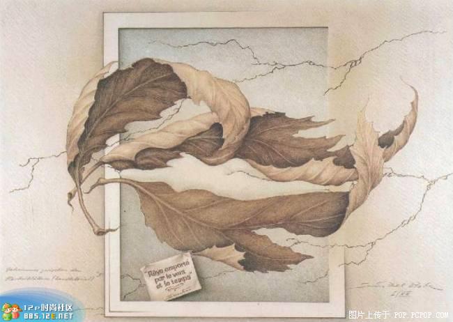 网友分享在meiguo.com的图片