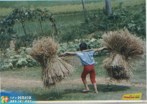 网友分享在meiguo.com的图片