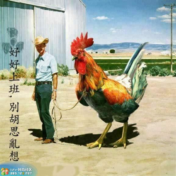 网友分享在meiguo.com的图片