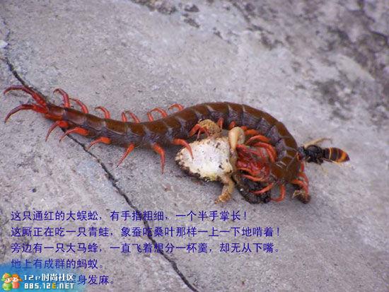 分享在 meiguo.com 上的图片